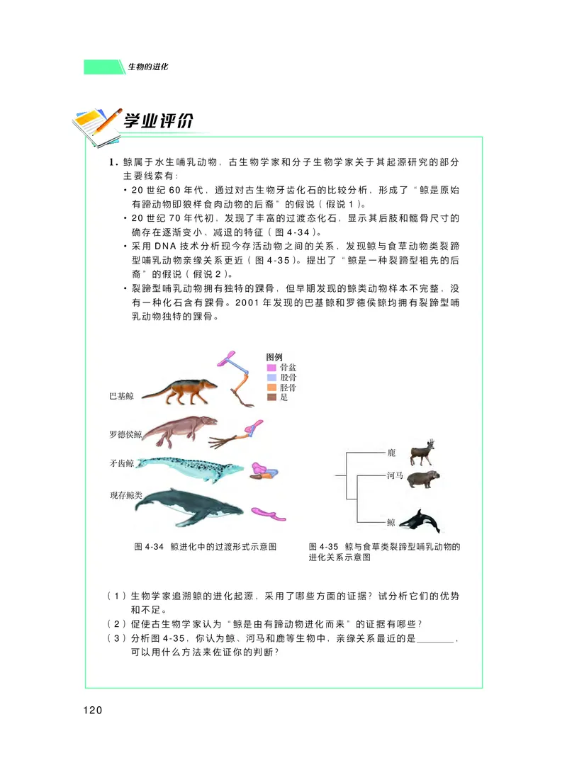普通高中教科书生物学必修2遗传与进化_高中三年全科资料_高中_高中电子教材_高中生物学_沪科技版