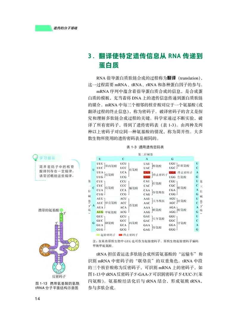 普通高中教科书生物学必修2遗传与进化_高中三年全科资料_高中_高中电子教材_高中生物学_沪科技版