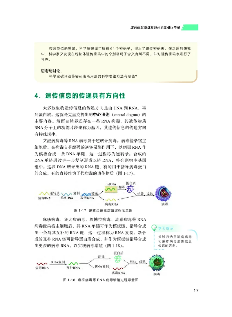 普通高中教科书生物学必修2遗传与进化_高中三年全科资料_高中_高中电子教材_高中生物学_沪科技版