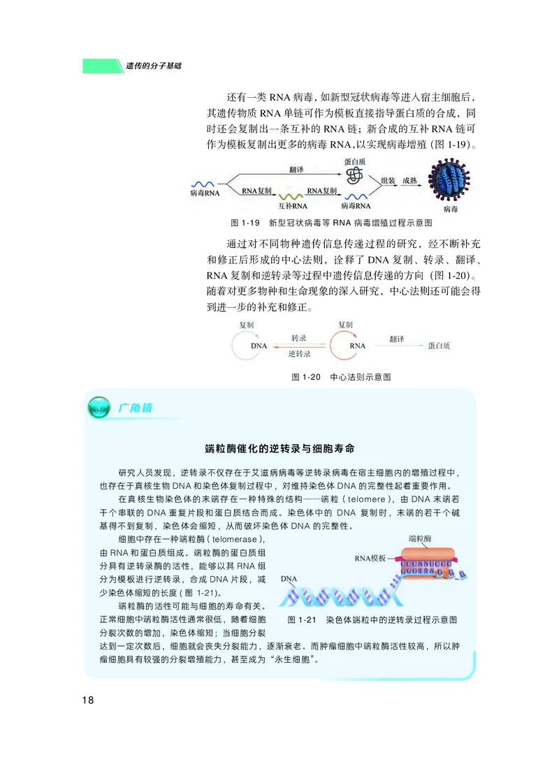 普通高中教科书生物学必修2遗传与进化_高中三年全科资料_高中_高中电子教材_高中生物学_沪科技版