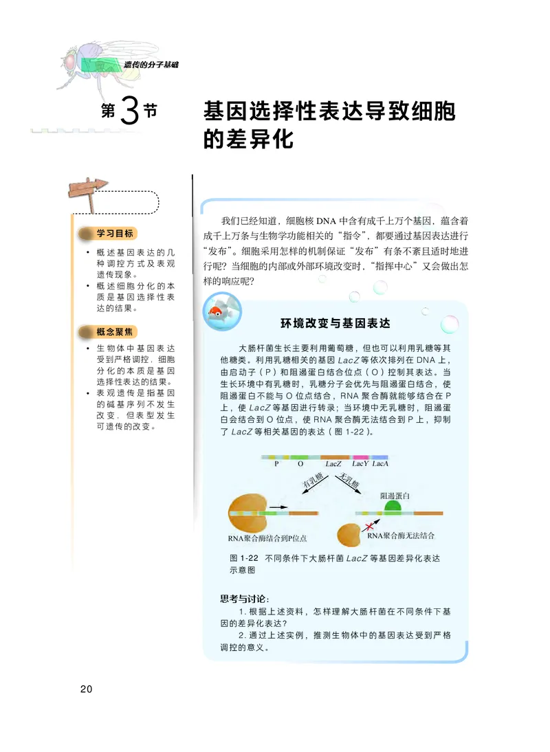 普通高中教科书生物学必修2遗传与进化_高中三年全科资料_高中_高中电子教材_高中生物学_沪科技版