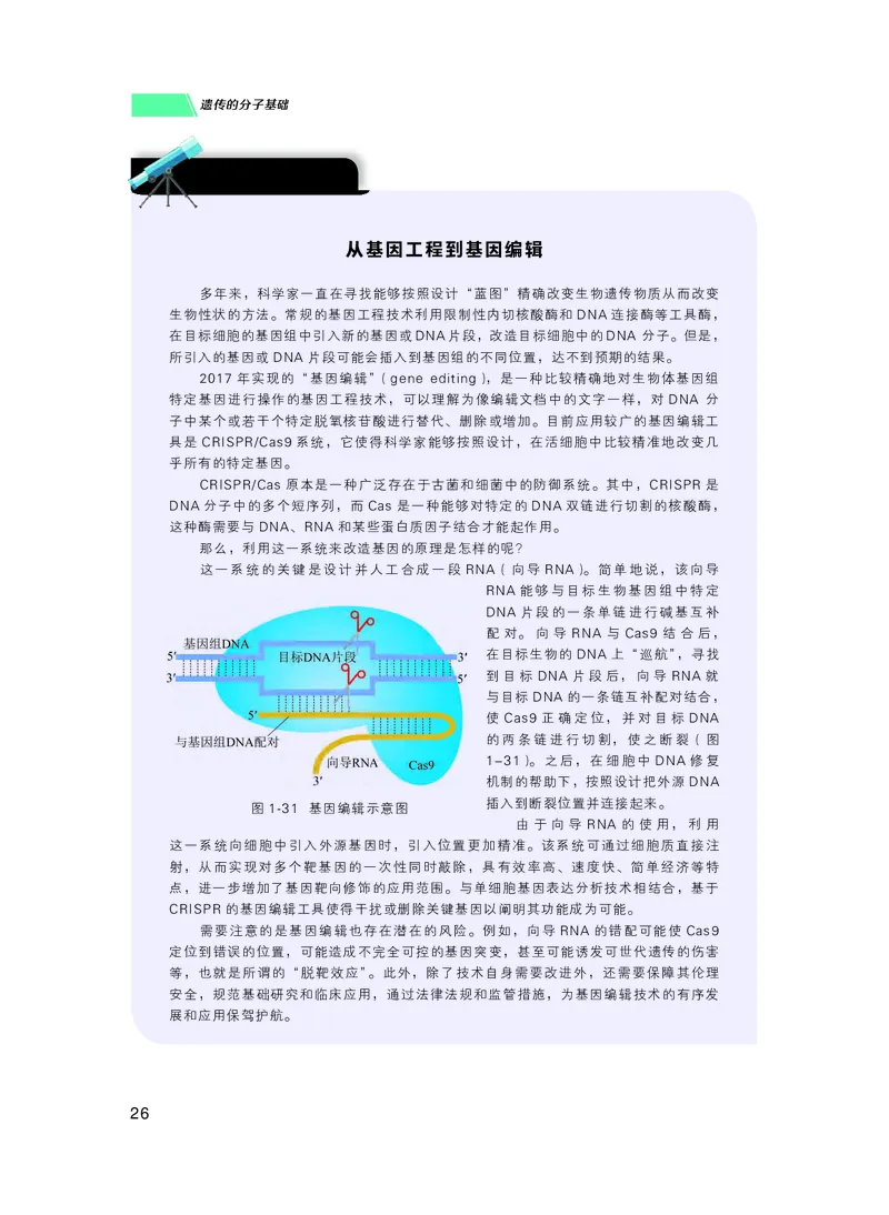 普通高中教科书生物学必修2遗传与进化_高中三年全科资料_高中_高中电子教材_高中生物学_沪科技版