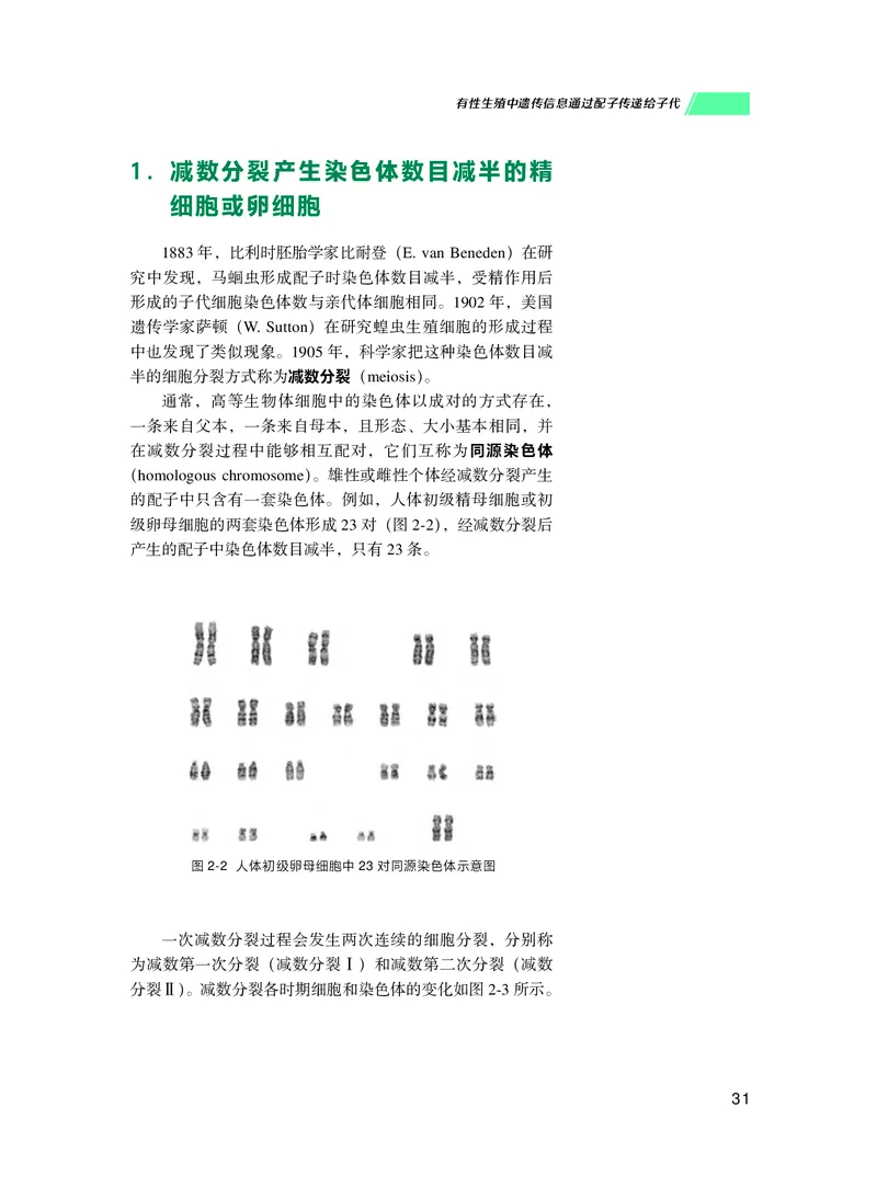 普通高中教科书生物学必修2遗传与进化_高中三年全科资料_高中_高中电子教材_高中生物学_沪科技版