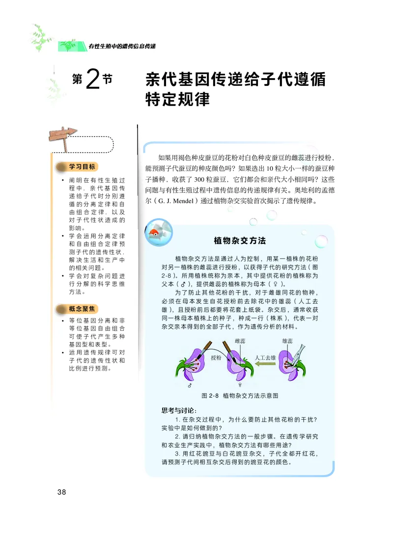 普通高中教科书生物学必修2遗传与进化_高中三年全科资料_高中_高中电子教材_高中生物学_沪科技版