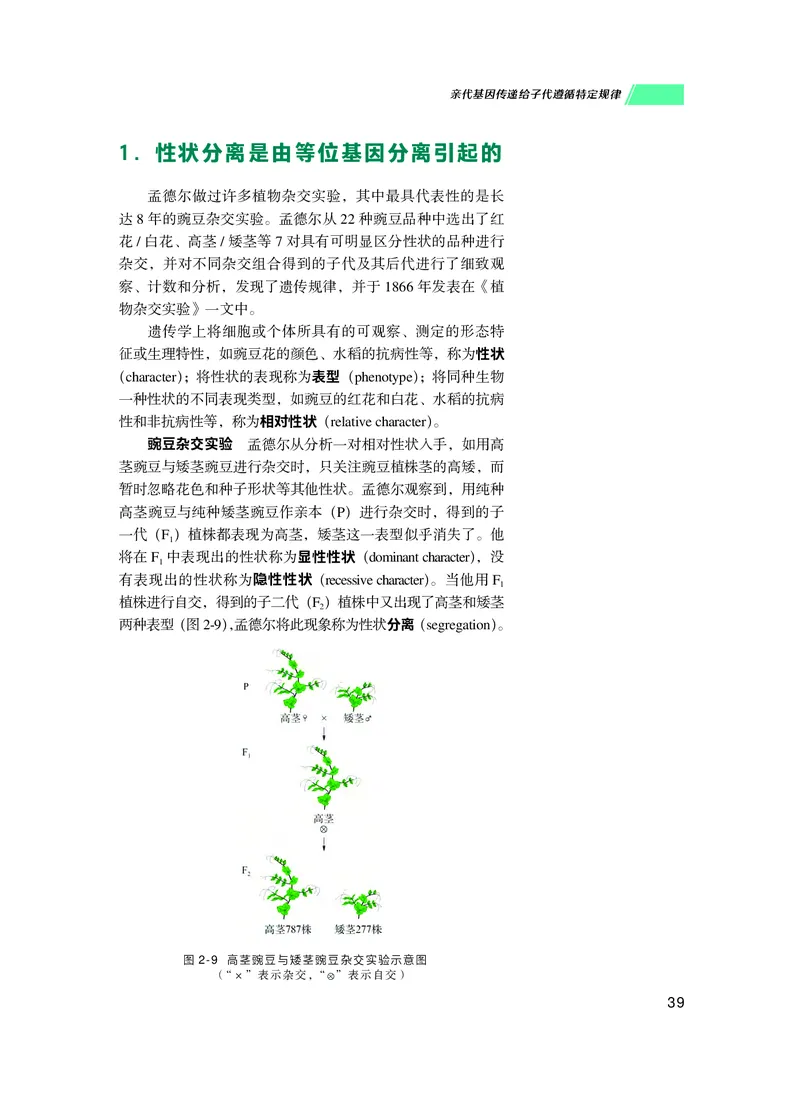 普通高中教科书生物学必修2遗传与进化_高中三年全科资料_高中_高中电子教材_高中生物学_沪科技版