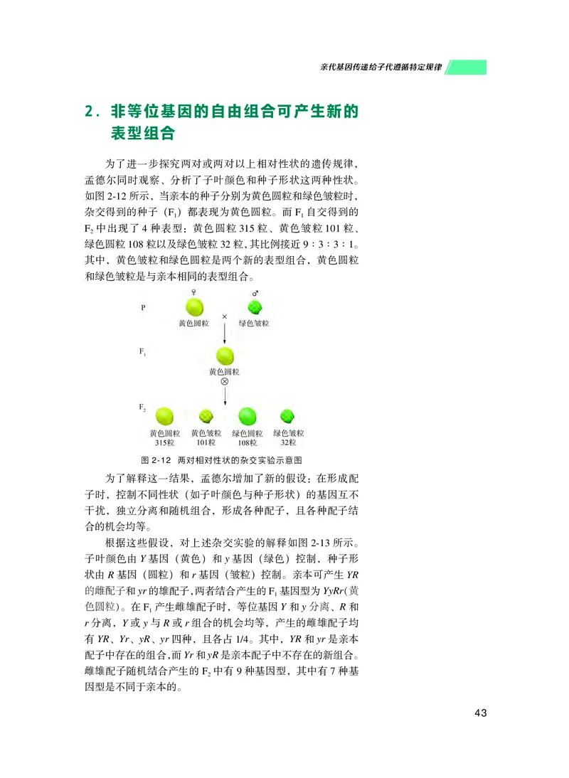 普通高中教科书生物学必修2遗传与进化_高中三年全科资料_高中_高中电子教材_高中生物学_沪科技版
