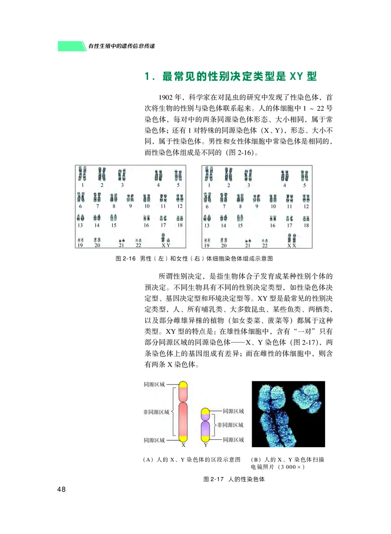 普通高中教科书生物学必修2遗传与进化_高中三年全科资料_高中_高中电子教材_高中生物学_沪科技版