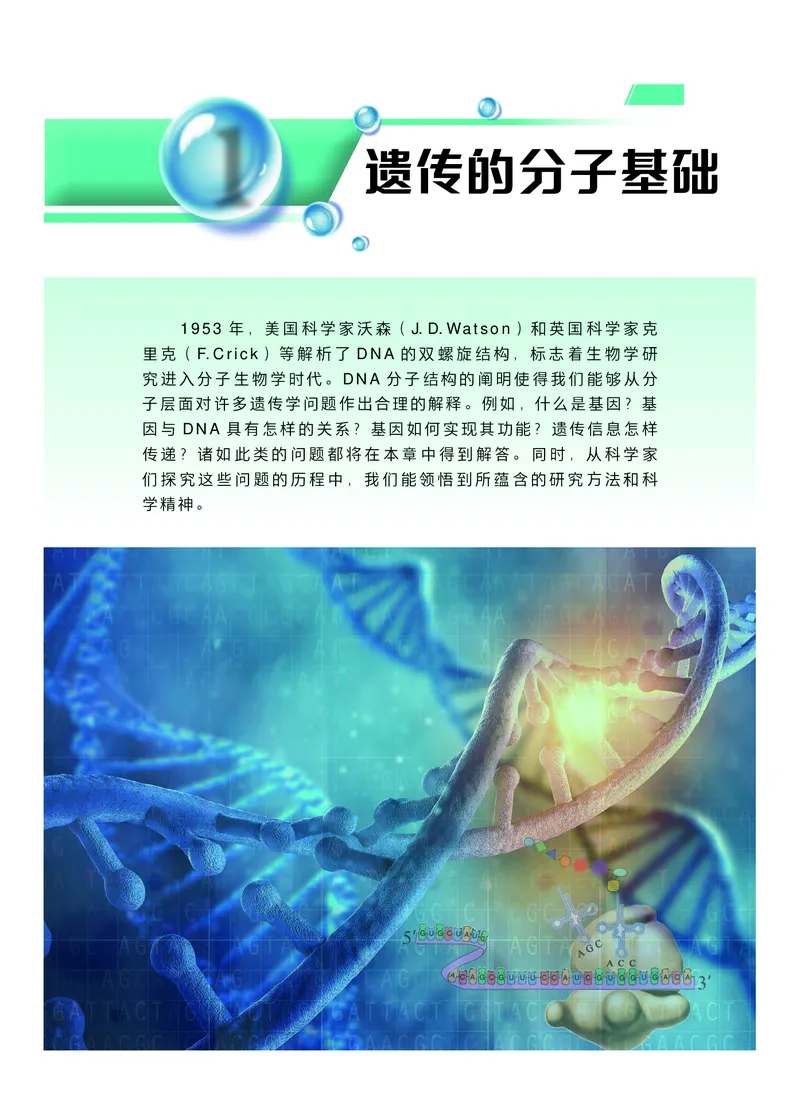 普通高中教科书生物学必修2遗传与进化_高中三年全科资料_高中_高中电子教材_高中生物学_沪科技版