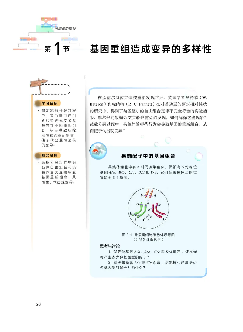 普通高中教科书生物学必修2遗传与进化_高中三年全科资料_高中_高中电子教材_高中生物学_沪科技版