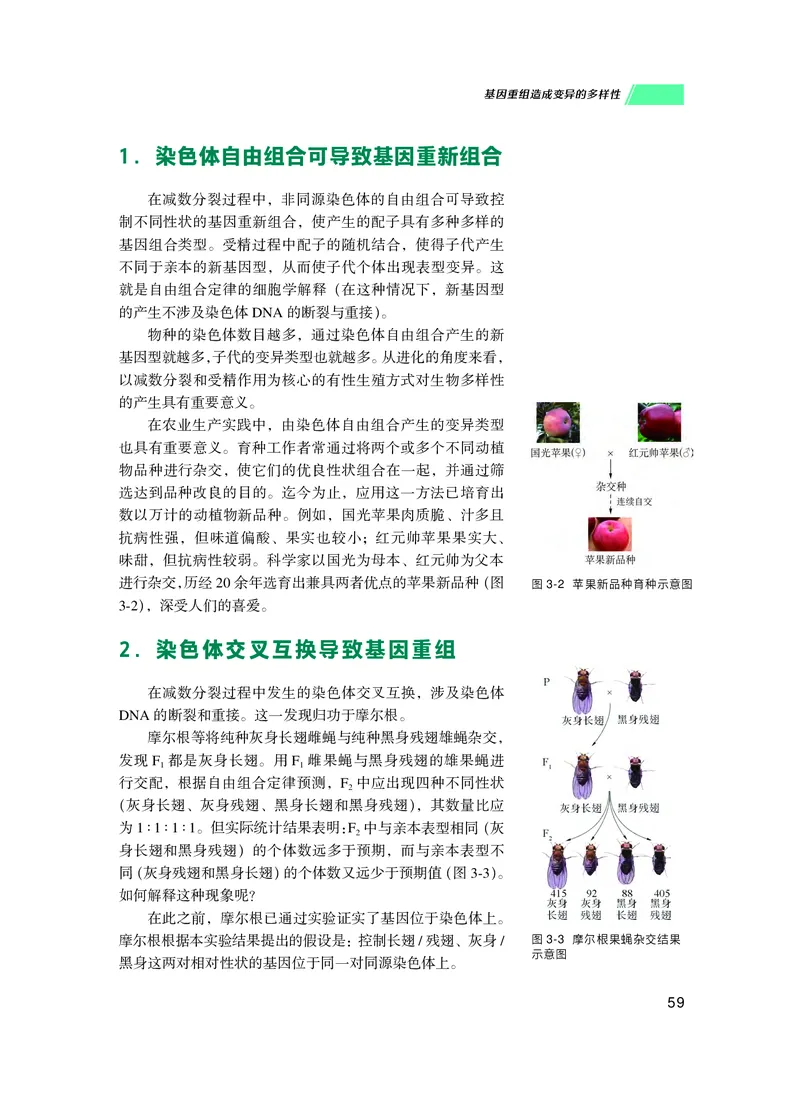 普通高中教科书生物学必修2遗传与进化_高中三年全科资料_高中_高中电子教材_高中生物学_沪科技版