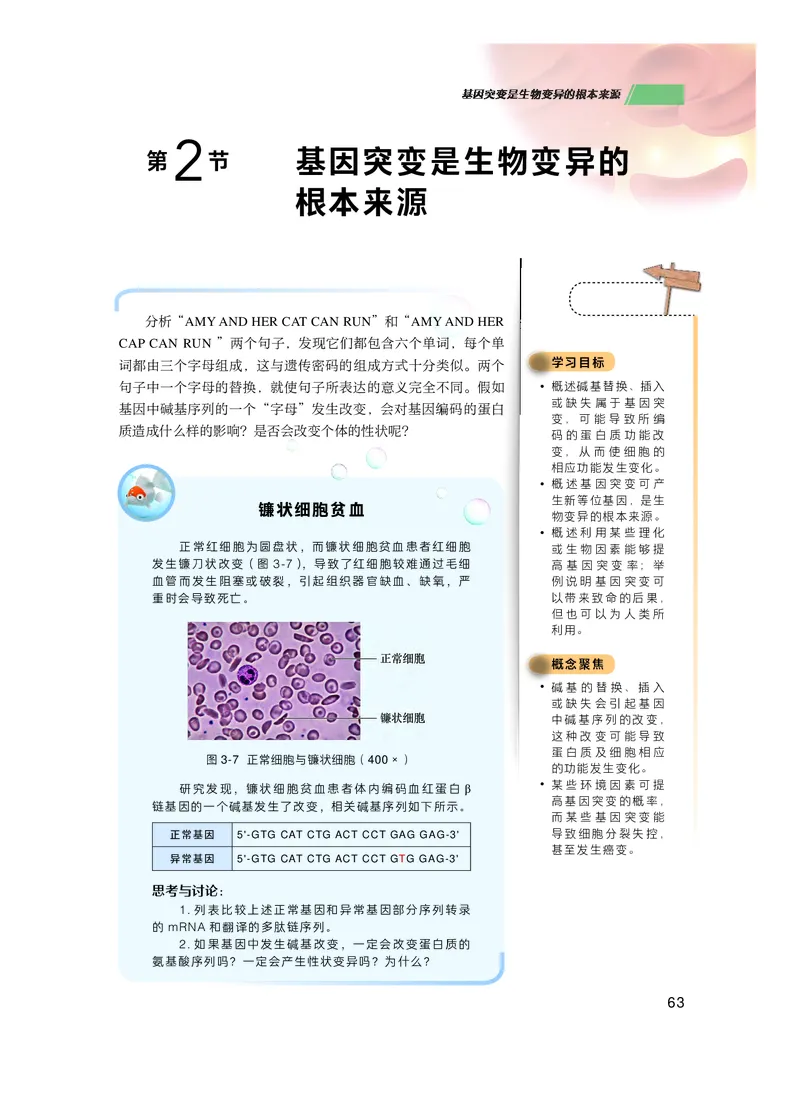 普通高中教科书生物学必修2遗传与进化_高中三年全科资料_高中_高中电子教材_高中生物学_沪科技版