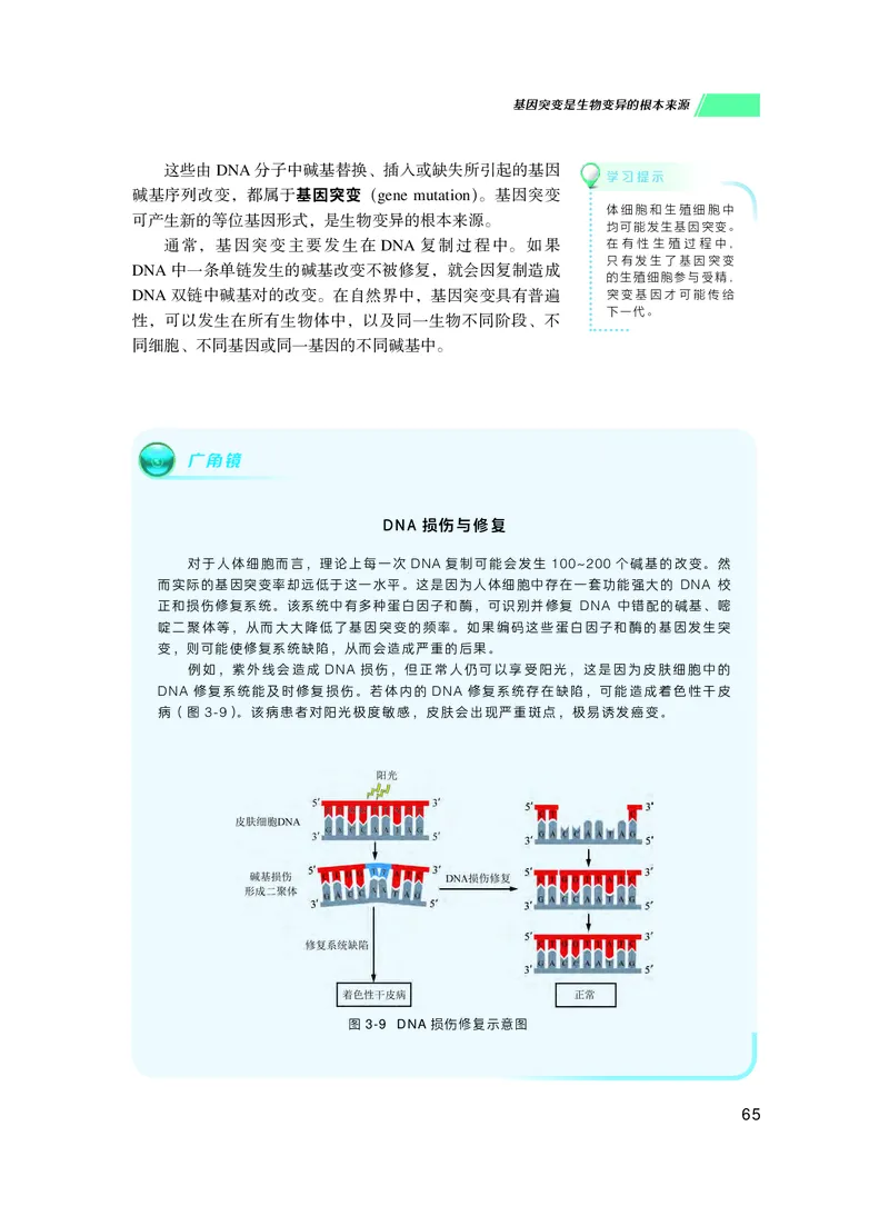 普通高中教科书生物学必修2遗传与进化_高中三年全科资料_高中_高中电子教材_高中生物学_沪科技版