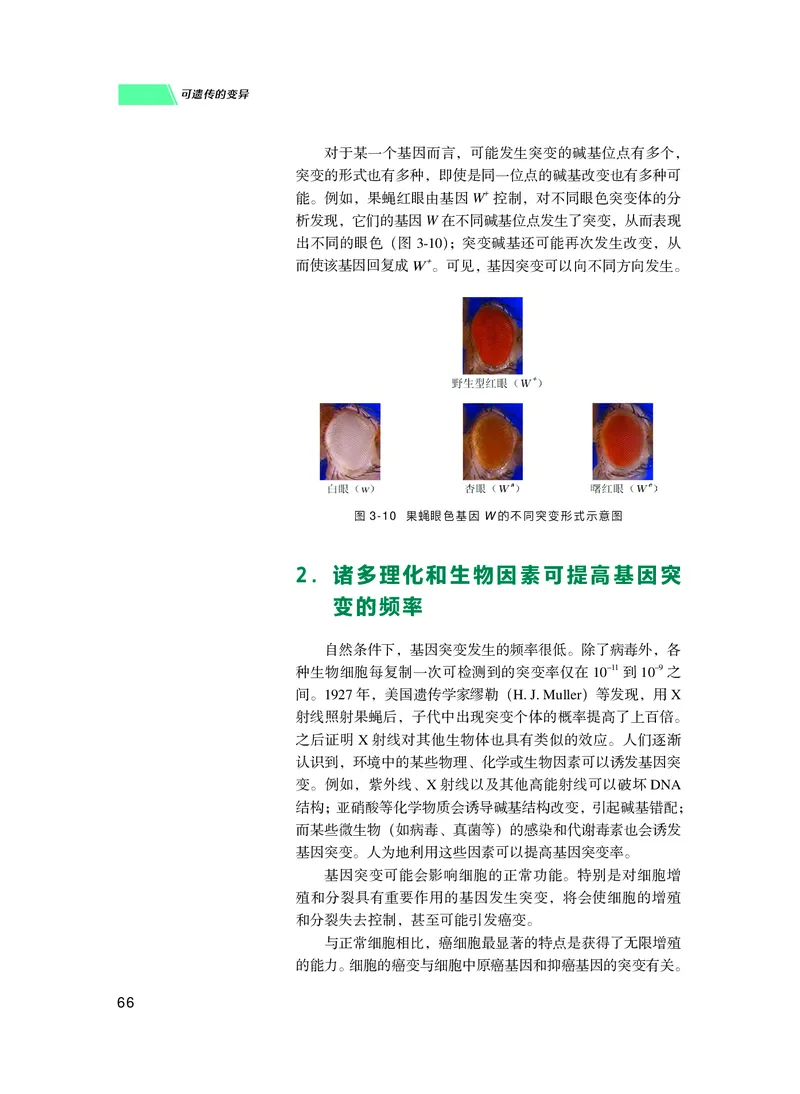 普通高中教科书生物学必修2遗传与进化_高中三年全科资料_高中_高中电子教材_高中生物学_沪科技版