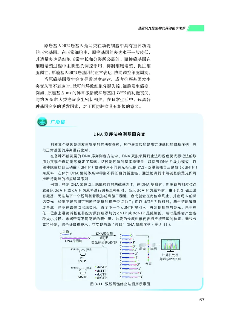普通高中教科书生物学必修2遗传与进化_高中三年全科资料_高中_高中电子教材_高中生物学_沪科技版