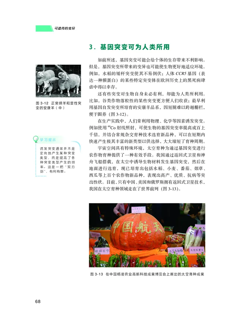普通高中教科书生物学必修2遗传与进化_高中三年全科资料_高中_高中电子教材_高中生物学_沪科技版