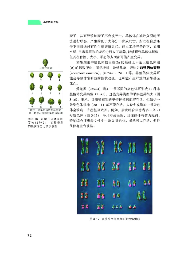 普通高中教科书生物学必修2遗传与进化_高中三年全科资料_高中_高中电子教材_高中生物学_沪科技版