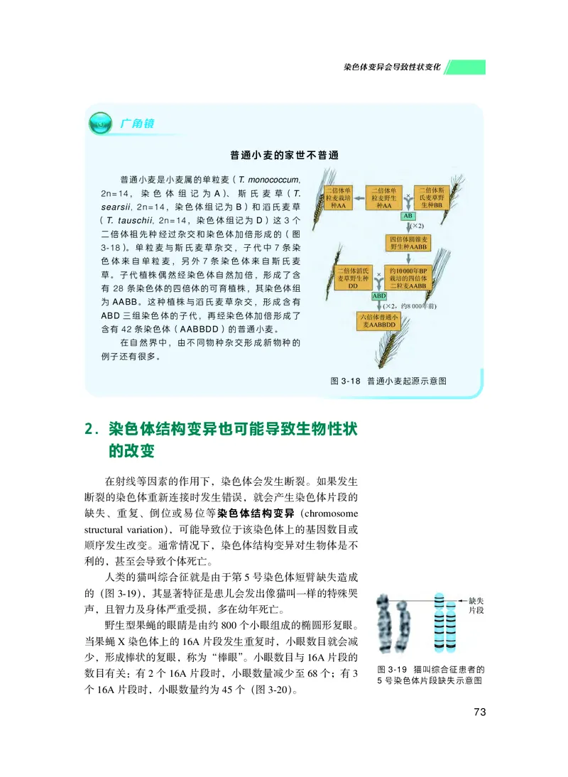 普通高中教科书生物学必修2遗传与进化_高中三年全科资料_高中_高中电子教材_高中生物学_沪科技版