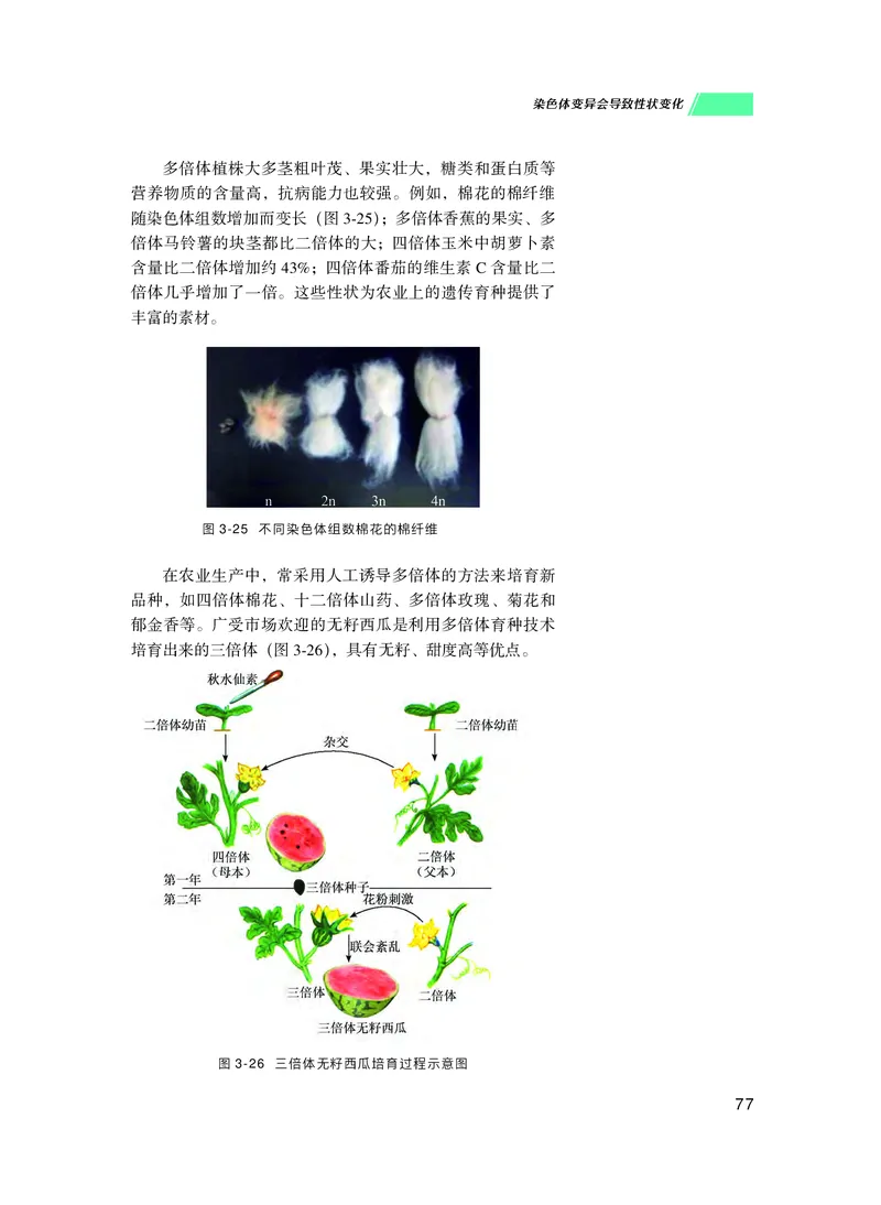 普通高中教科书生物学必修2遗传与进化_高中三年全科资料_高中_高中电子教材_高中生物学_沪科技版