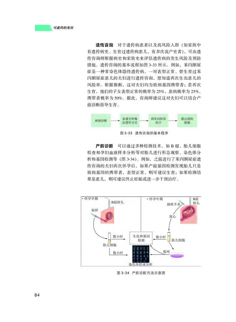普通高中教科书生物学必修2遗传与进化_高中三年全科资料_高中_高中电子教材_高中生物学_沪科技版