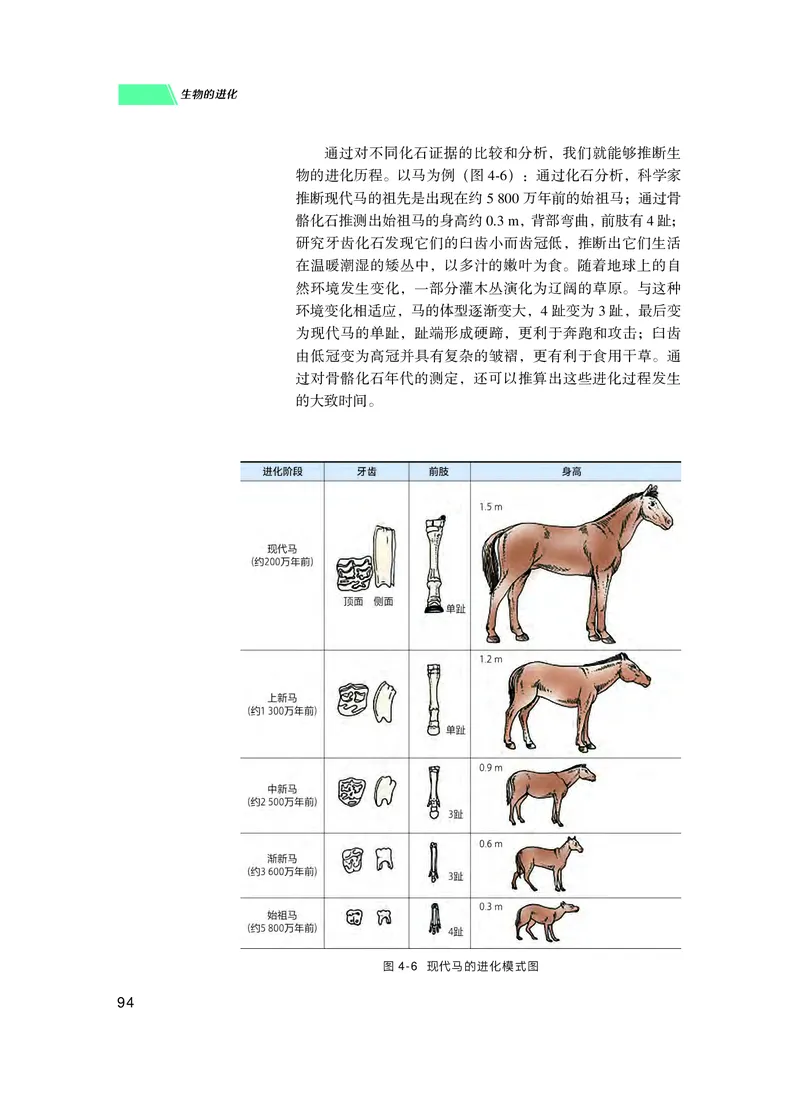 普通高中教科书生物学必修2遗传与进化_高中三年全科资料_高中_高中电子教材_高中生物学_沪科技版