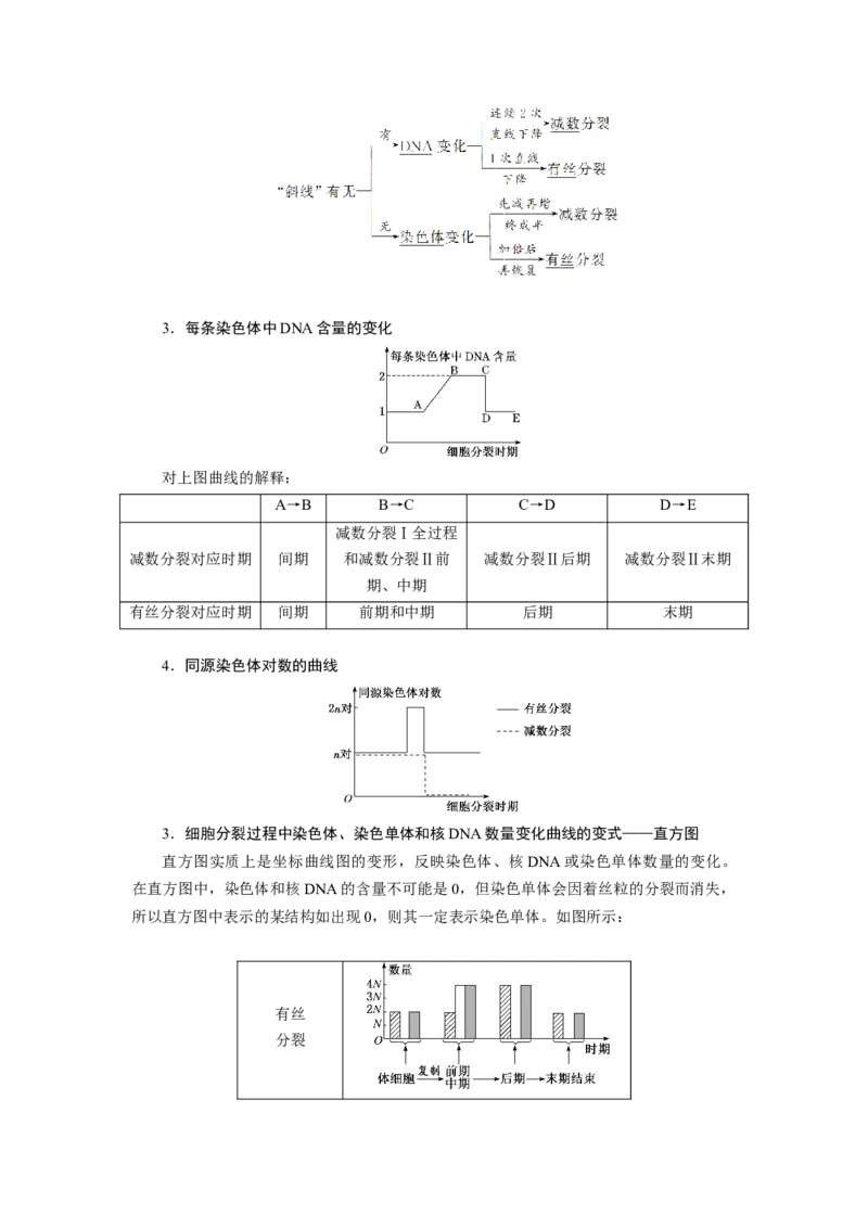 第2章基因和染色体的关系-知识点总结-2021-2022学年高中生物新教材人教版必修2&nbsp;&nbsp;&nbsp;_高中三年全科资料_高中_1高中基础资料包_A-高中必背9科知识点_生物