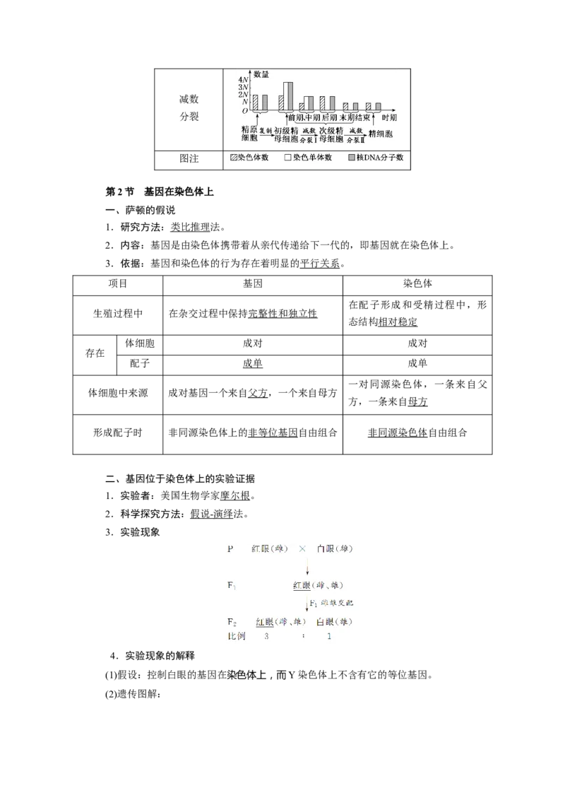 第2章基因和染色体的关系-知识点总结-2021-2022学年高中生物新教材人教版必修2&nbsp;&nbsp;&nbsp;_高中三年全科资料_高中_1高中基础资料包_A-高中必背9科知识点_生物