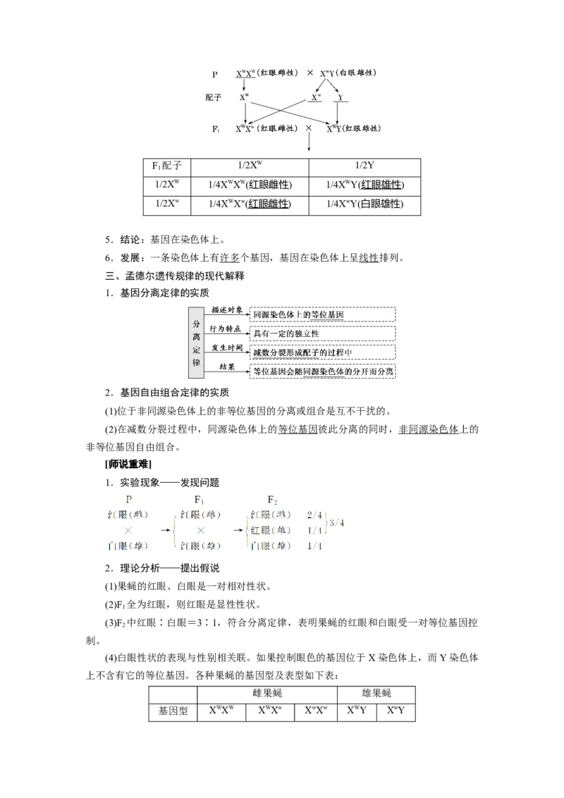第2章基因和染色体的关系-知识点总结-2021-2022学年高中生物新教材人教版必修2&nbsp;&nbsp;&nbsp;_高中三年全科资料_高中_1高中基础资料包_A-高中必背9科知识点_生物