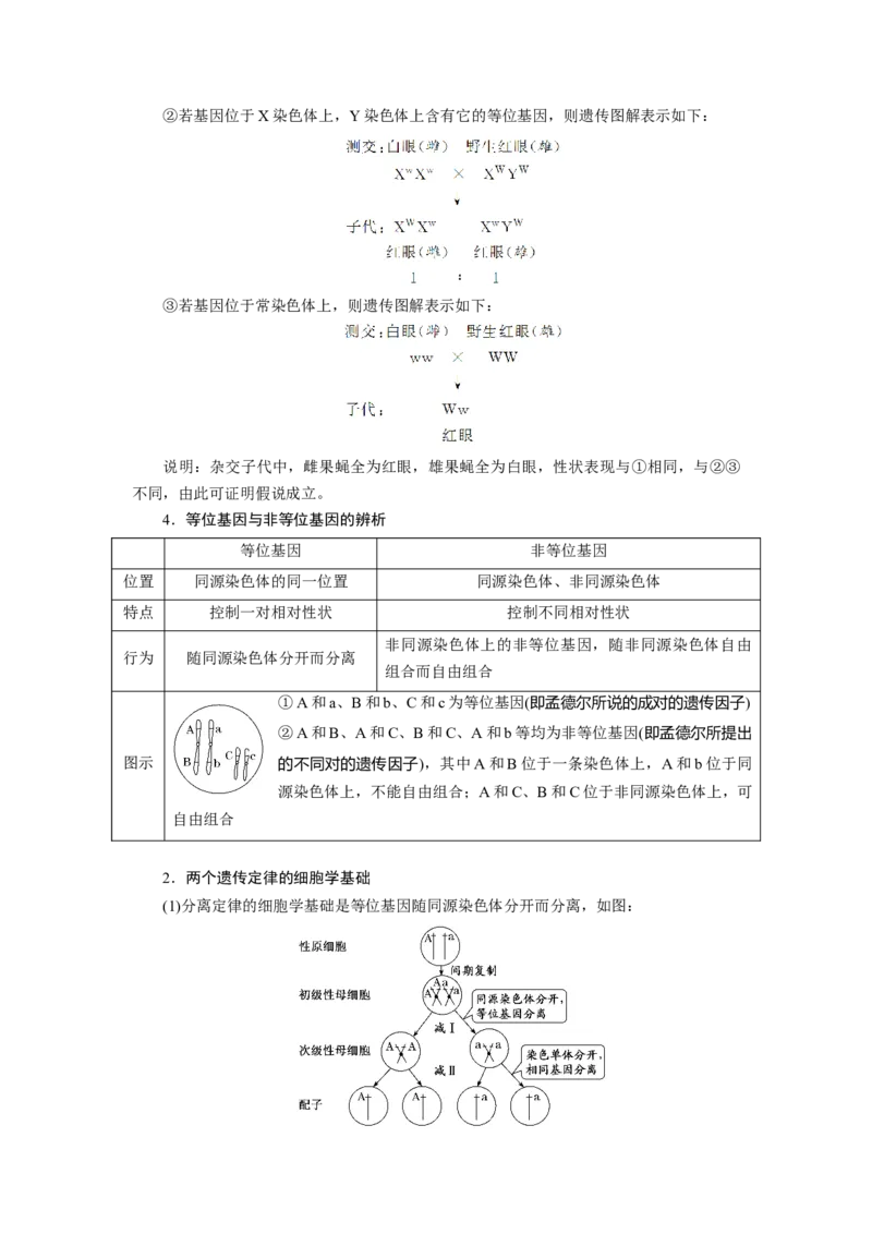 第2章基因和染色体的关系-知识点总结-2021-2022学年高中生物新教材人教版必修2&nbsp;&nbsp;&nbsp;_高中三年全科资料_高中_1高中基础资料包_A-高中必背9科知识点_生物