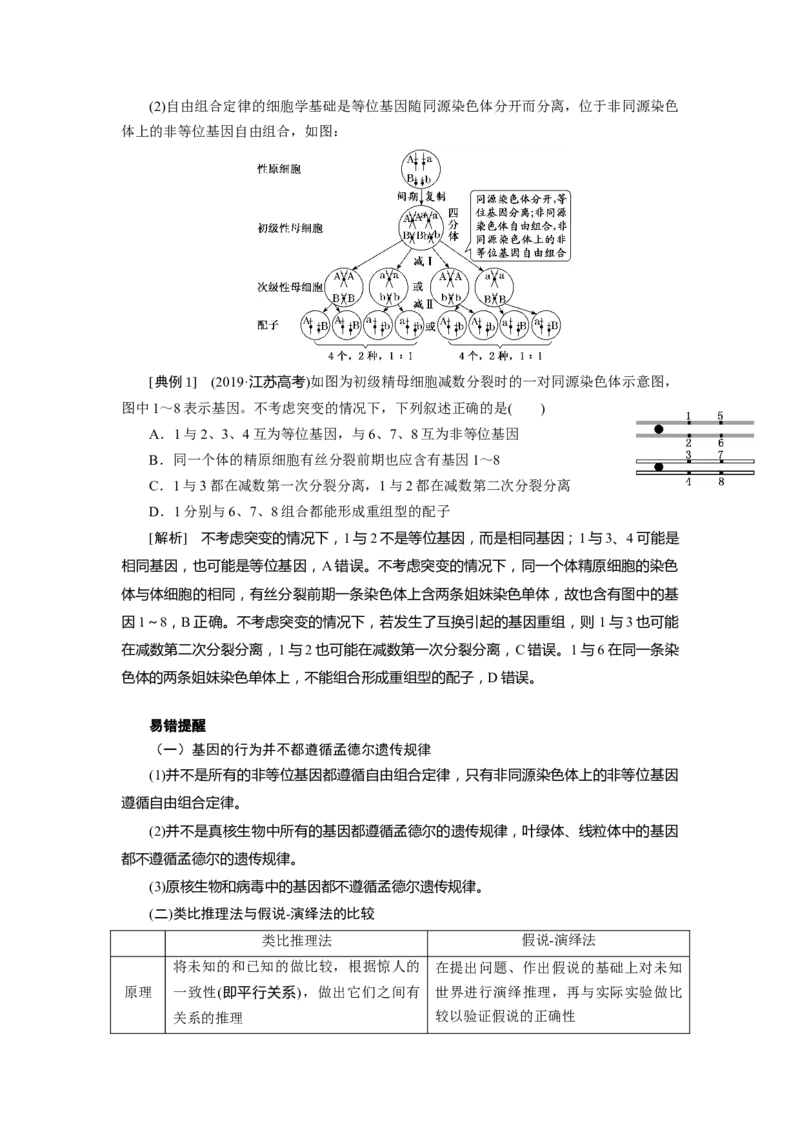 第2章基因和染色体的关系-知识点总结-2021-2022学年高中生物新教材人教版必修2&nbsp;&nbsp;&nbsp;_高中三年全科资料_高中_1高中基础资料包_A-高中必背9科知识点_生物