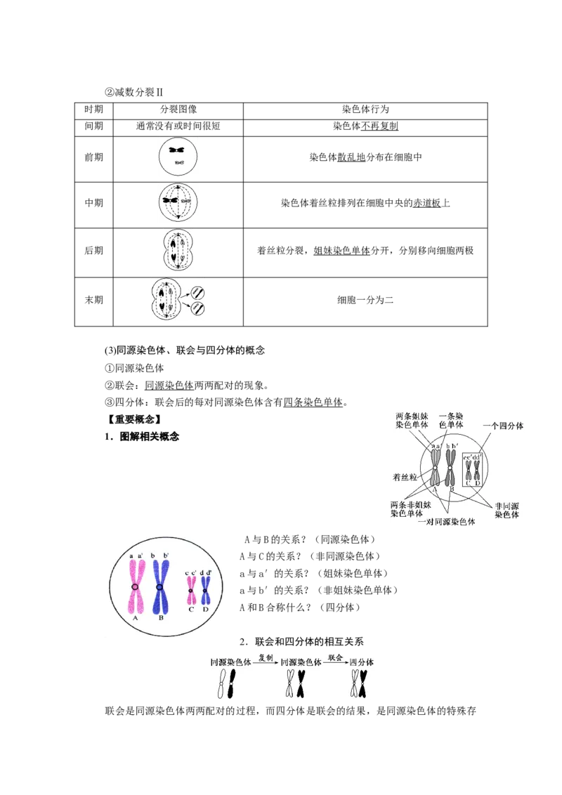 第2章基因和染色体的关系-知识点总结-2021-2022学年高中生物新教材人教版必修2&nbsp;&nbsp;&nbsp;_高中三年全科资料_高中_1高中基础资料包_A-高中必背9科知识点_生物