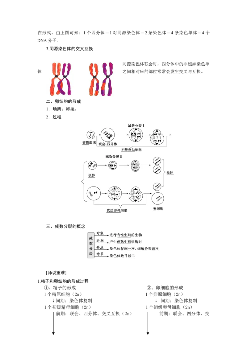 第2章基因和染色体的关系-知识点总结-2021-2022学年高中生物新教材人教版必修2&nbsp;&nbsp;&nbsp;_高中三年全科资料_高中_1高中基础资料包_A-高中必背9科知识点_生物