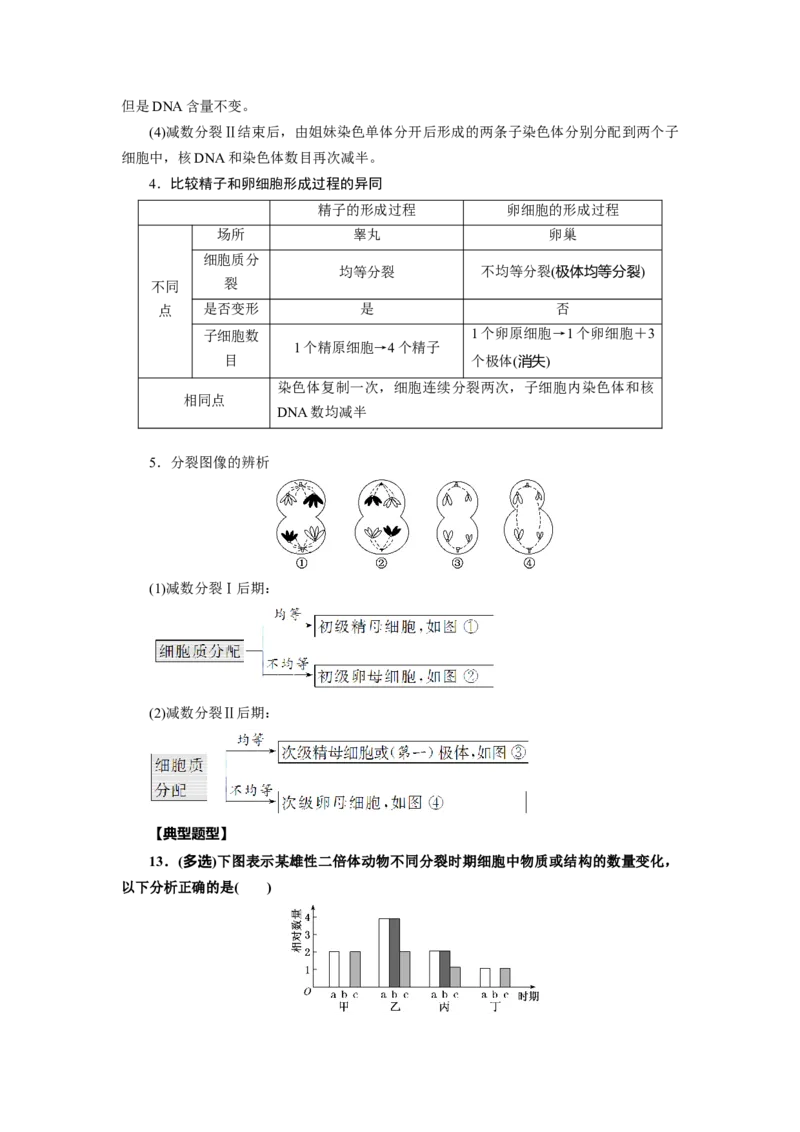 第2章基因和染色体的关系-知识点总结-2021-2022学年高中生物新教材人教版必修2&nbsp;&nbsp;&nbsp;_高中三年全科资料_高中_1高中基础资料包_A-高中必背9科知识点_生物