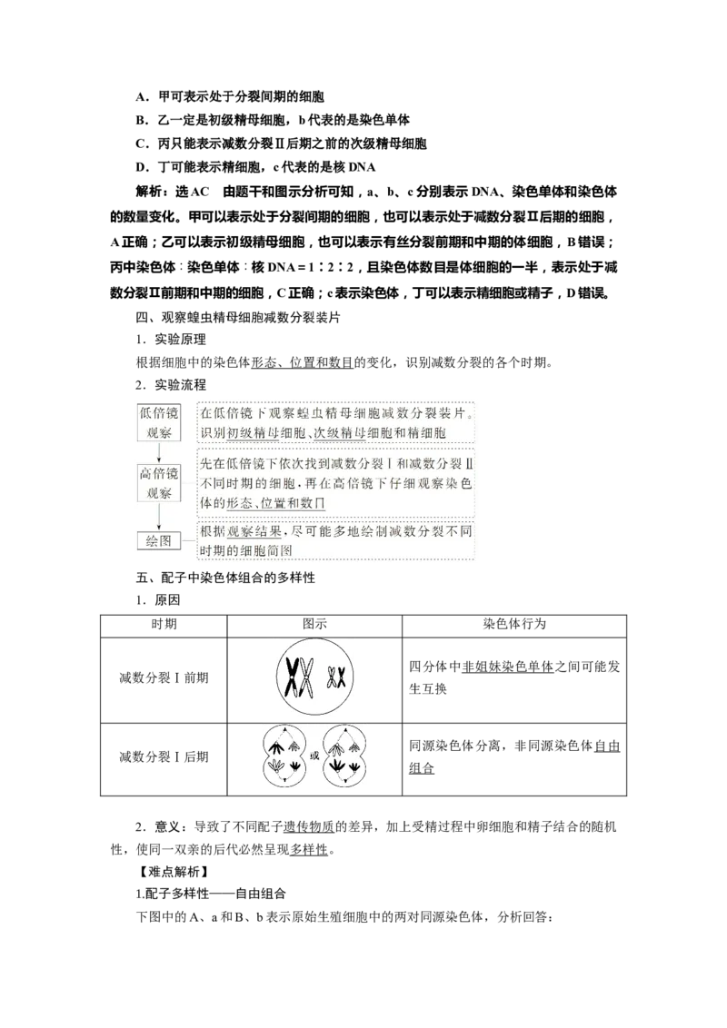 第2章基因和染色体的关系-知识点总结-2021-2022学年高中生物新教材人教版必修2&nbsp;&nbsp;&nbsp;_高中三年全科资料_高中_1高中基础资料包_A-高中必背9科知识点_生物