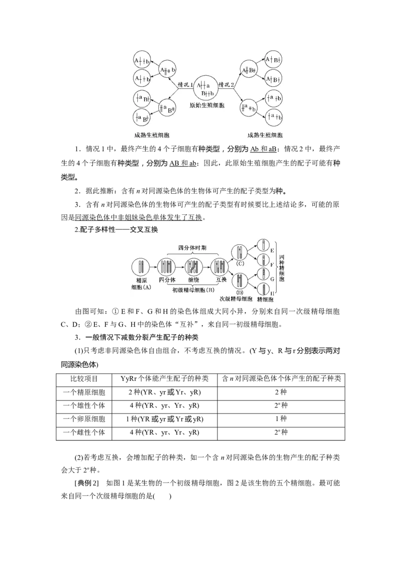 第2章基因和染色体的关系-知识点总结-2021-2022学年高中生物新教材人教版必修2&nbsp;&nbsp;&nbsp;_高中三年全科资料_高中_1高中基础资料包_A-高中必背9科知识点_生物