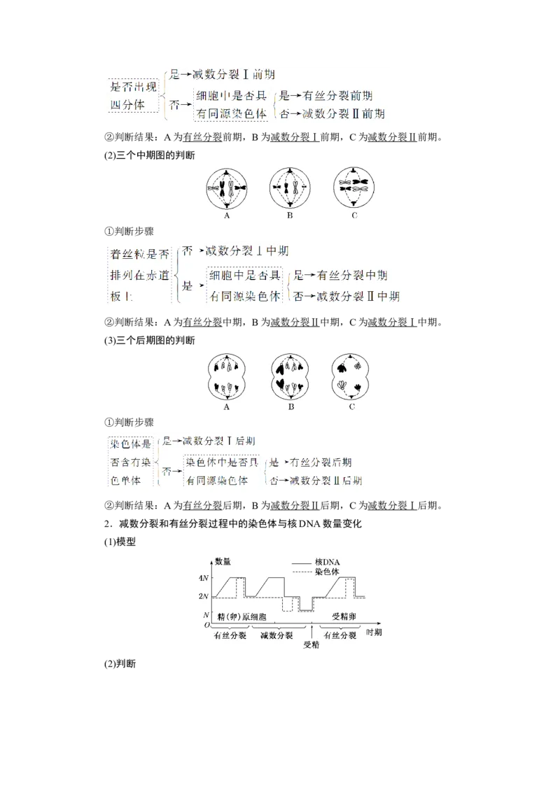 第2章基因和染色体的关系-知识点总结-2021-2022学年高中生物新教材人教版必修2&nbsp;&nbsp;&nbsp;_高中三年全科资料_高中_1高中基础资料包_A-高中必背9科知识点_生物