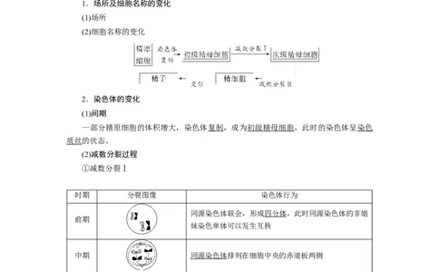 第2章基因和染色体的关系-知识点总结-2021-2022学年高中生物新教材人教版必修2&nbsp;&nbsp;&nbsp;_高中三年全科资料_高中_1高中基础资料包_A-高中必背9科知识点_生物