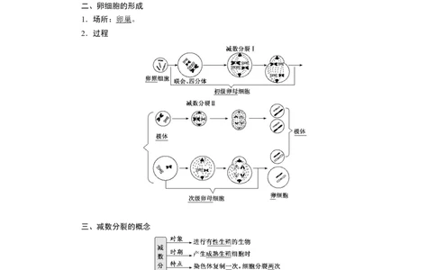 第2章基因和染色体的关系-知识点总结-2021-2022学年高中生物新教材人教版必修2&nbsp;&nbsp;&nbsp;_高中三年全科资料_高中_1高中基础资料包_A-高中必背9科知识点_生物