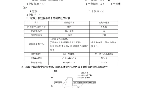 第2章基因和染色体的关系-知识点总结-2021-2022学年高中生物新教材人教版必修2&nbsp;&nbsp;&nbsp;_高中三年全科资料_高中_1高中基础资料包_A-高中必背9科知识点_生物