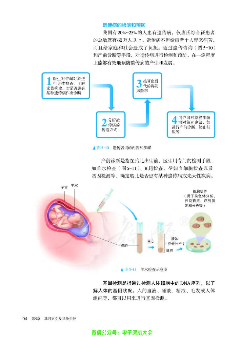 普通高中教科书生物学必修2遗传与进化_高中三年全科资料_高中_高中电子教材_高中生物学_人教版_旧