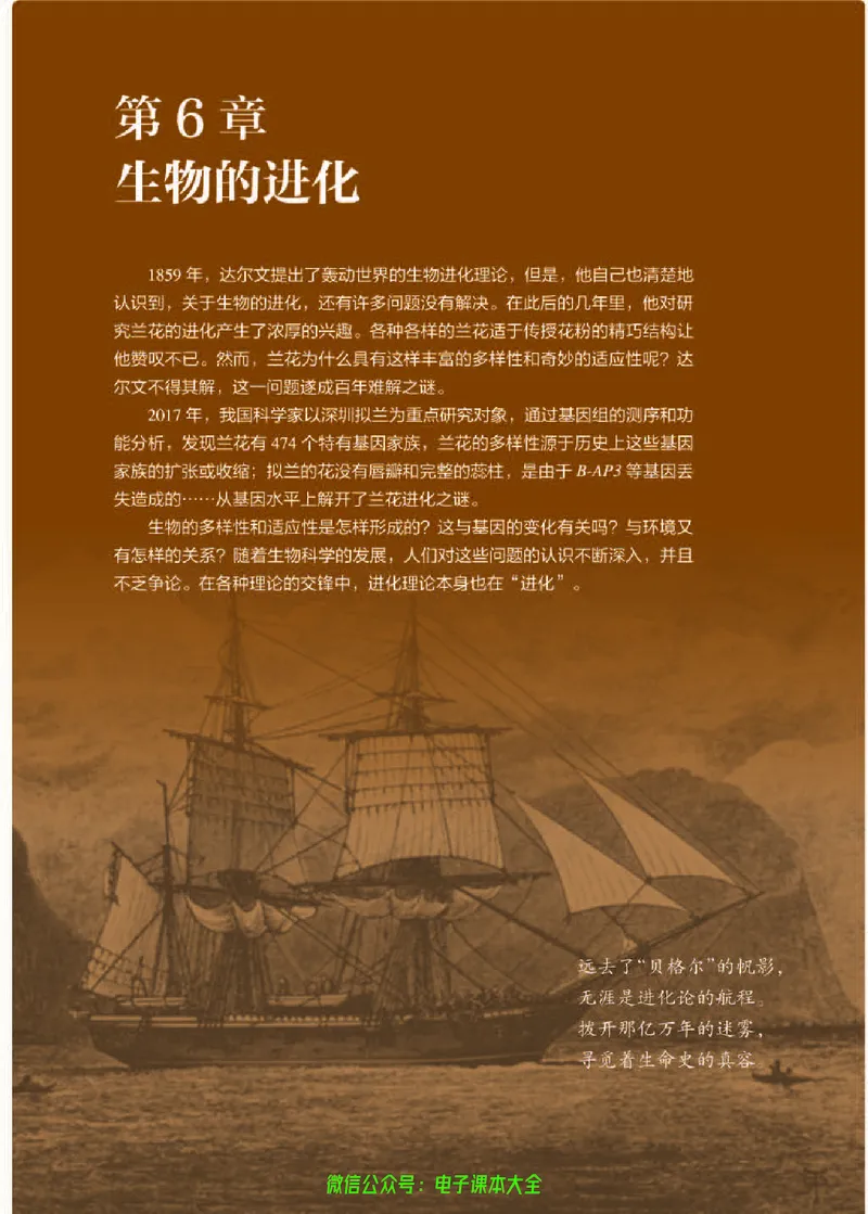 普通高中教科书生物学必修2遗传与进化_高中三年全科资料_高中_高中电子教材_高中生物学_人教版_旧