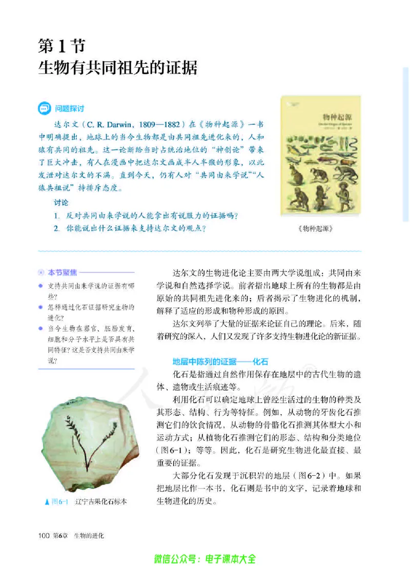 普通高中教科书生物学必修2遗传与进化_高中三年全科资料_高中_高中电子教材_高中生物学_人教版_旧