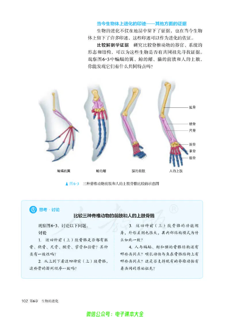 普通高中教科书生物学必修2遗传与进化_高中三年全科资料_高中_高中电子教材_高中生物学_人教版_旧
