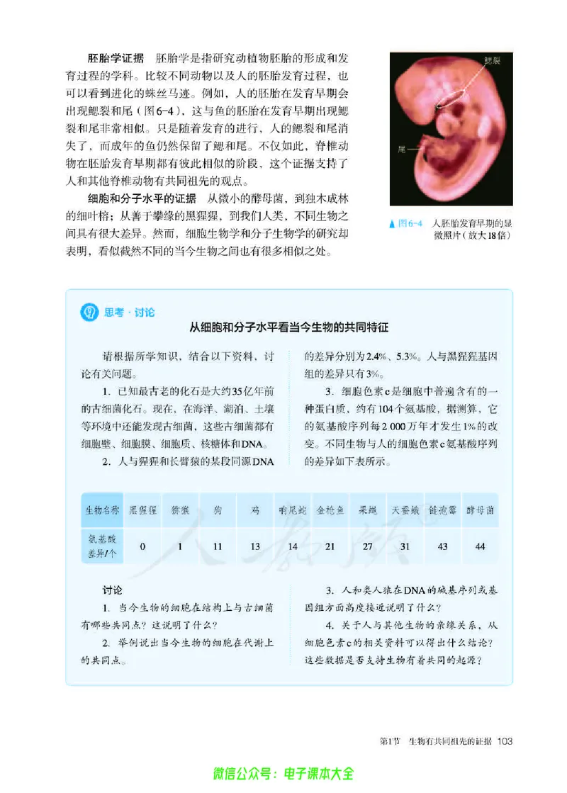 普通高中教科书生物学必修2遗传与进化_高中三年全科资料_高中_高中电子教材_高中生物学_人教版_旧
