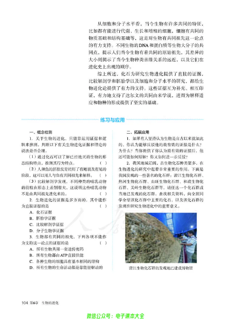 普通高中教科书生物学必修2遗传与进化_高中三年全科资料_高中_高中电子教材_高中生物学_人教版_旧
