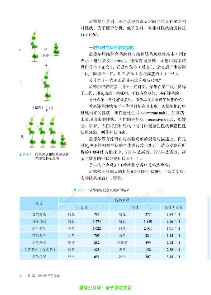 普通高中教科书生物学必修2遗传与进化_高中三年全科资料_高中_高中电子教材_高中生物学_人教版_旧