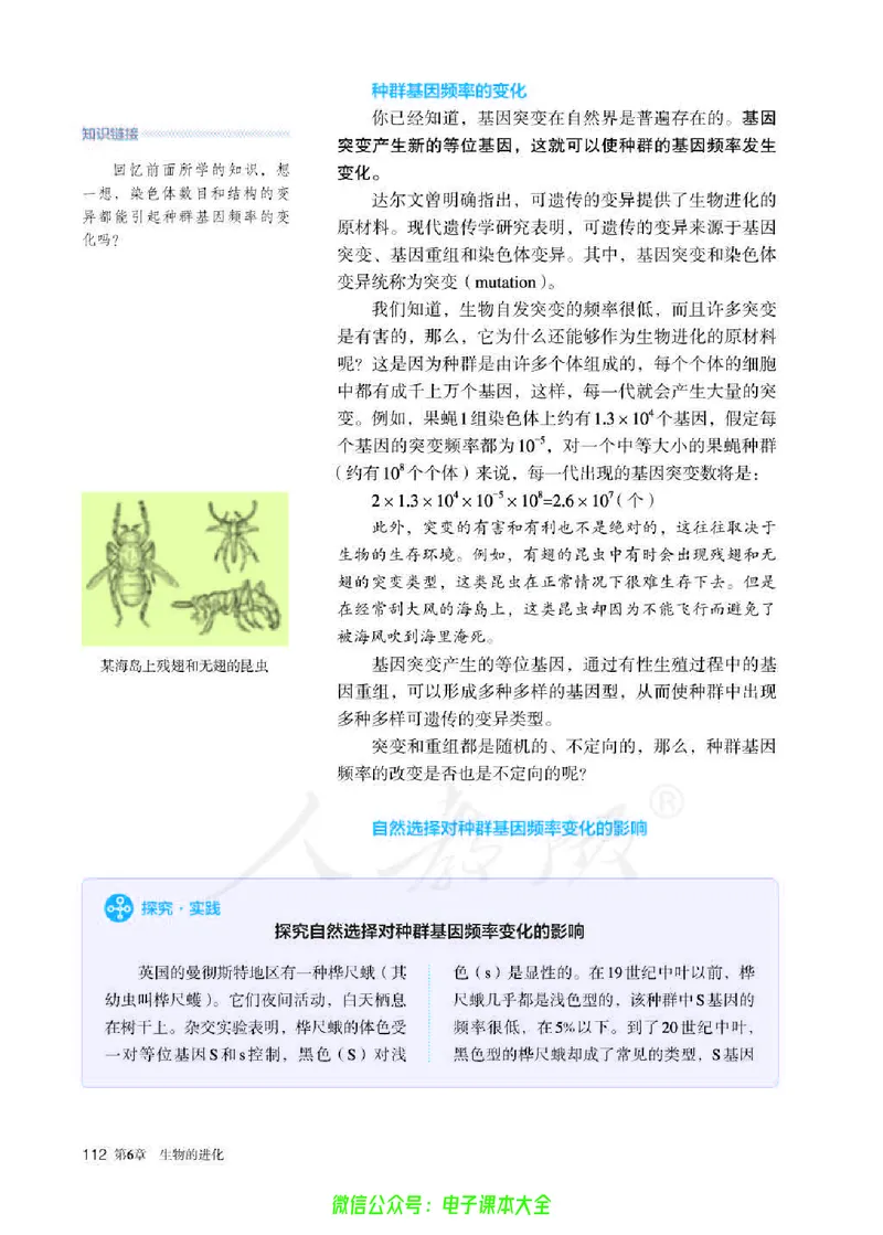 普通高中教科书生物学必修2遗传与进化_高中三年全科资料_高中_高中电子教材_高中生物学_人教版_旧