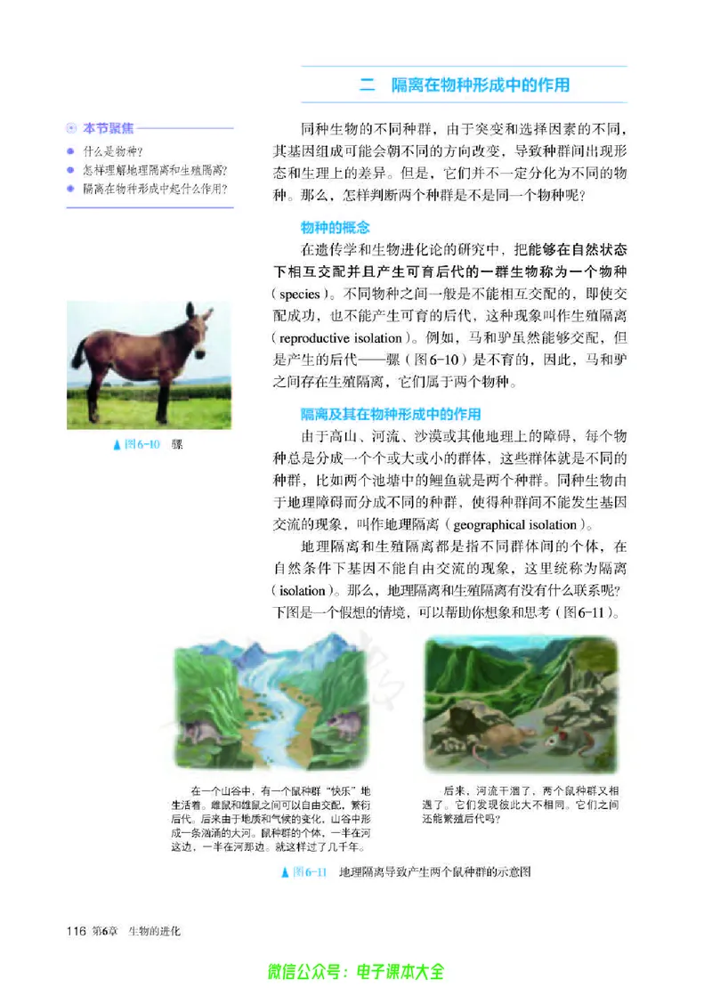 普通高中教科书生物学必修2遗传与进化_高中三年全科资料_高中_高中电子教材_高中生物学_人教版_旧