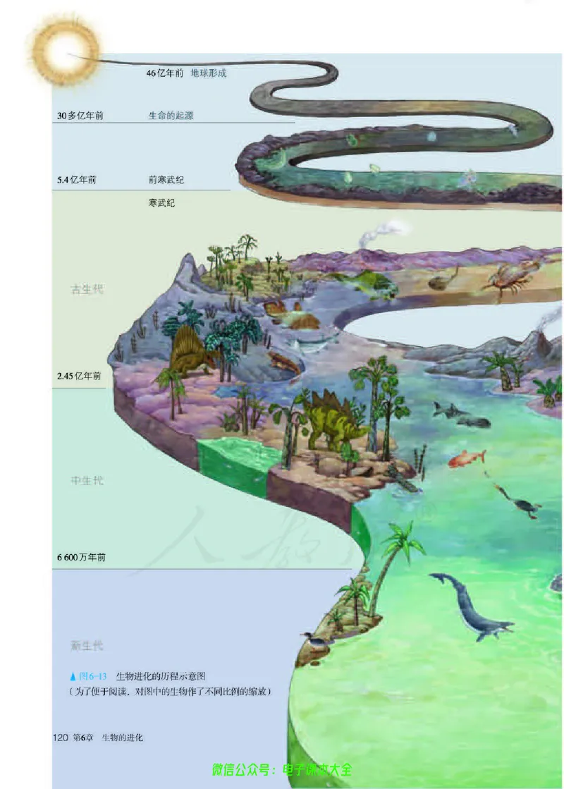 普通高中教科书生物学必修2遗传与进化_高中三年全科资料_高中_高中电子教材_高中生物学_人教版_旧