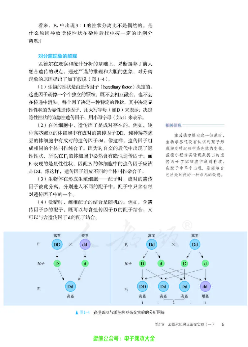 普通高中教科书生物学必修2遗传与进化_高中三年全科资料_高中_高中电子教材_高中生物学_人教版_旧