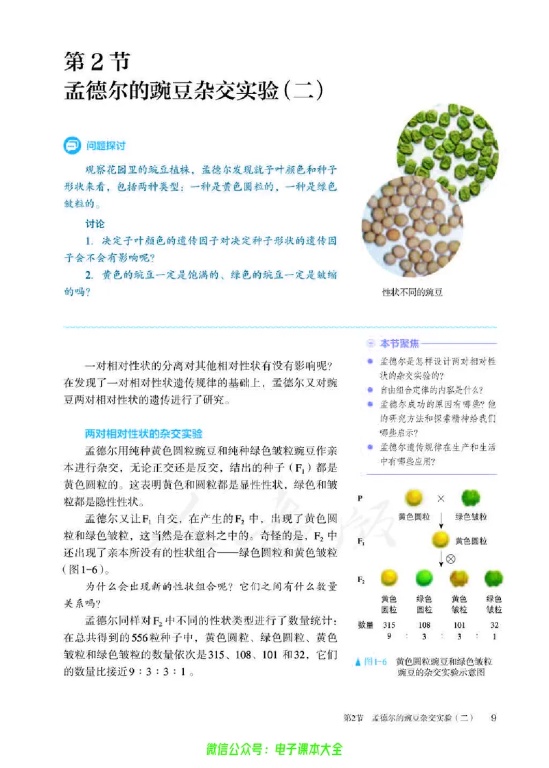 普通高中教科书生物学必修2遗传与进化_高中三年全科资料_高中_高中电子教材_高中生物学_人教版_旧